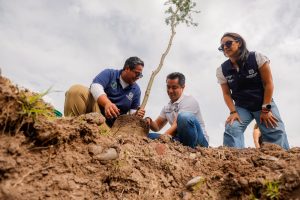 Imagen de Encabeza Felifer Macías la conmemoración del Día Nacional del Árbol con la jornada “Querétaro, la Capital Verde” 38