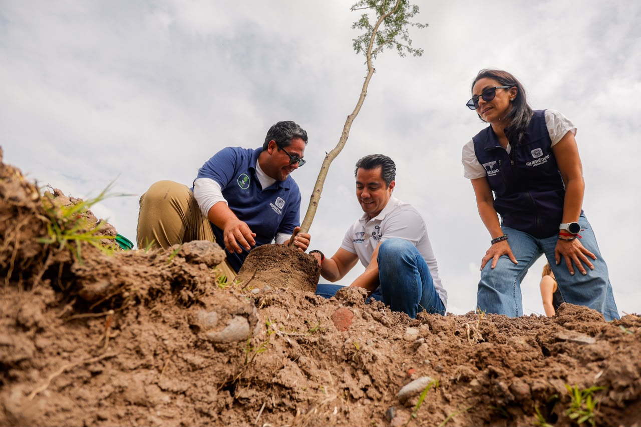 Imagen de Encabeza Felifer Macías la conmemoración del Día Nacional del Árbol con la jornada “Querétaro, la Capital Verde” 10