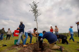 Imagen de Encabeza Felifer Macías la conmemoración del Día Nacional del Árbol con la jornada “Querétaro, la Capital Verde” 40