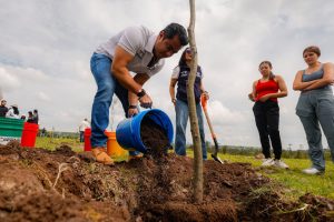 Imagen de Encabeza Felifer Macías la conmemoración del Día Nacional del Árbol con la jornada “Querétaro, la Capital Verde” 42